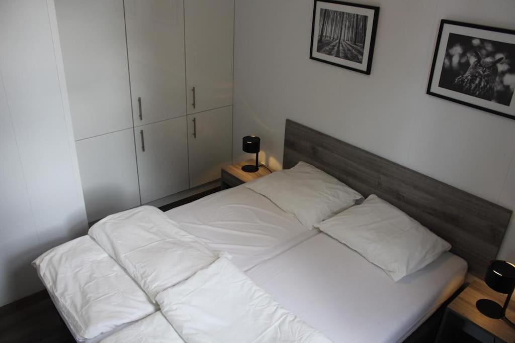 Lathum Vakantiehuis Met Vijverzicht מראה חיצוני תמונה